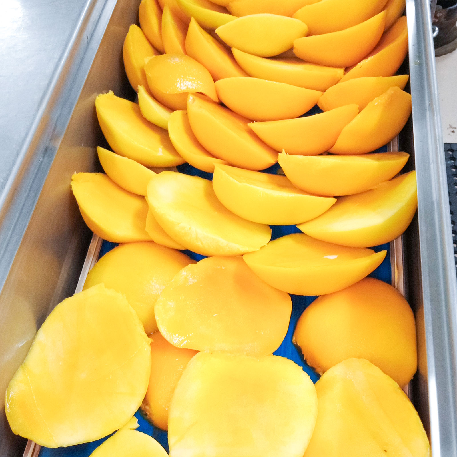 Townsville-based fruit processing business